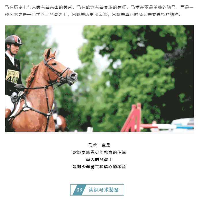 1575902902981302.png image.png