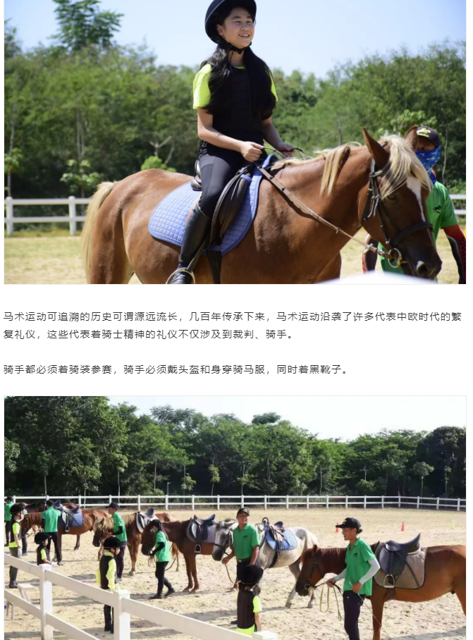 1575903000161356.png image.png