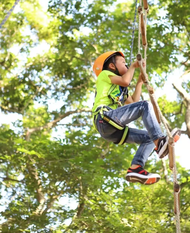 1575903263946640.png image.png